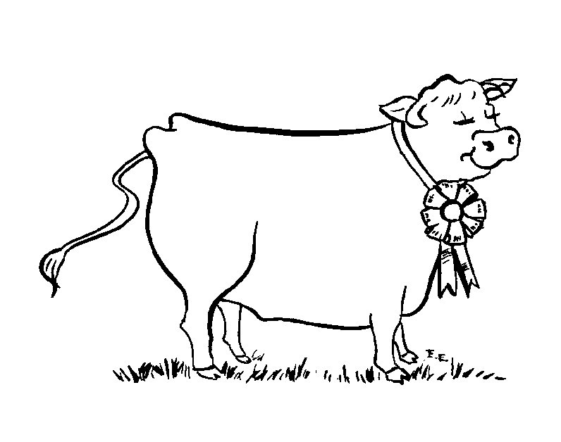 imagini de colorat vaca vitel taur